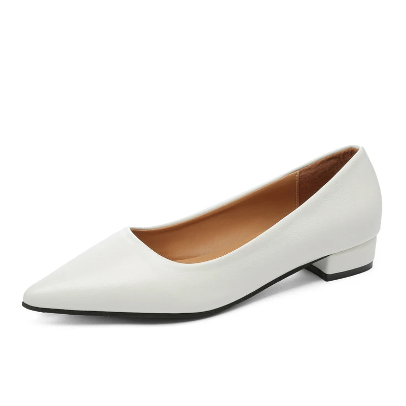 Women's Pointed-Toe Block-Heel Pumps — product view