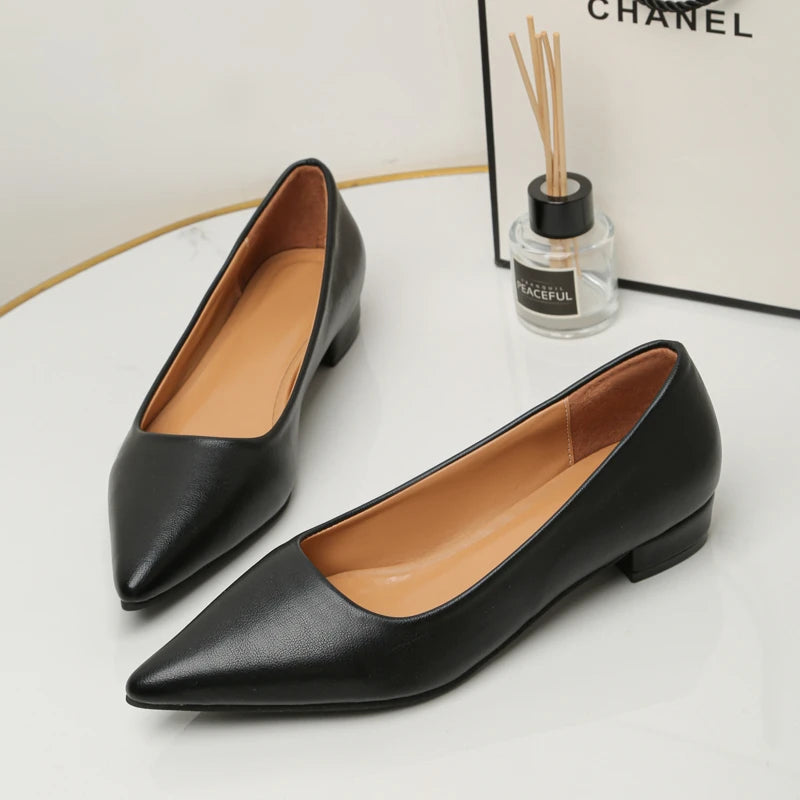 Women's Pointed-Toe Block-Heel Pumps — product view