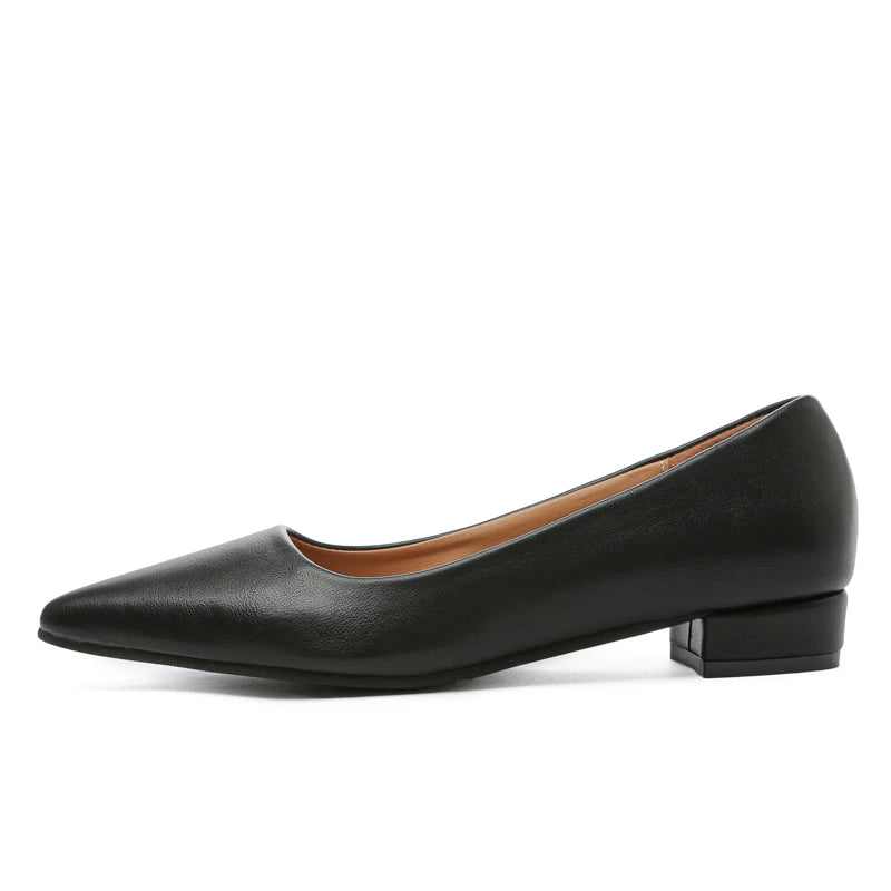 Women's Pointed-Toe Block-Heel Pumps — product view