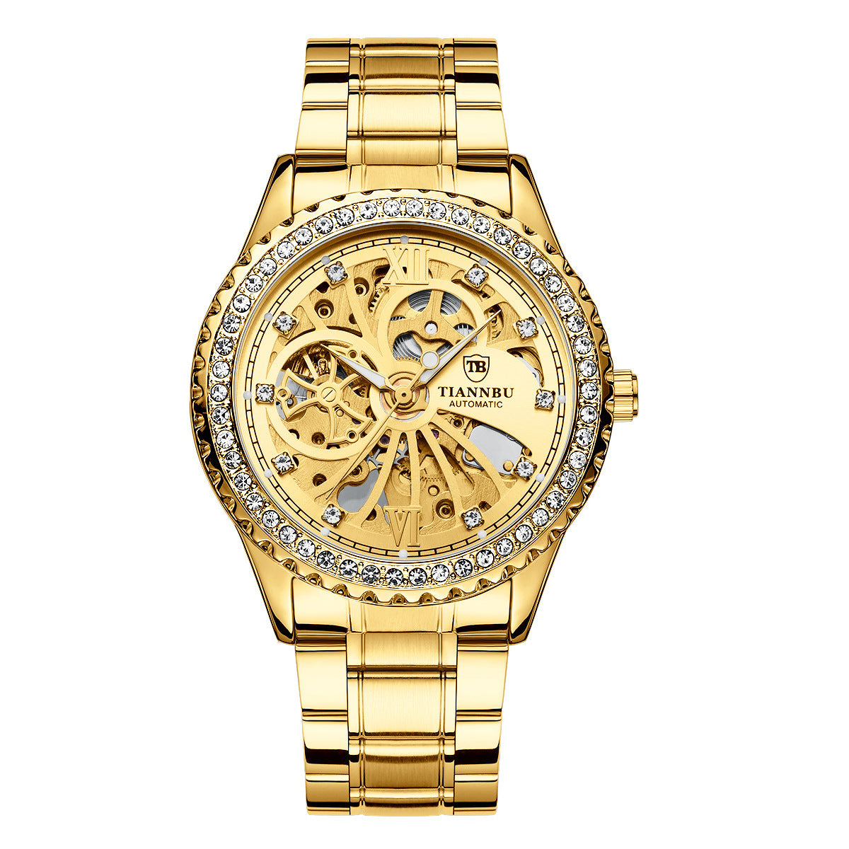 Men's Decorative Automatic Mechanical Watch