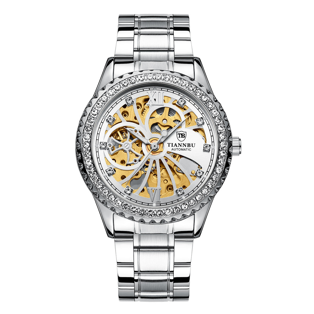 Men's Decorative Automatic Mechanical Watch