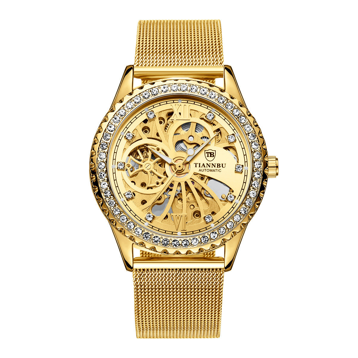 Men's Decorative Automatic Mechanical Watch