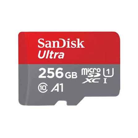 microSD Memory Card — 256 GB