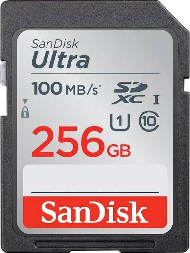 microSD Memory Card — 256 GB