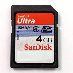 microSD Memory Card — 4 GB