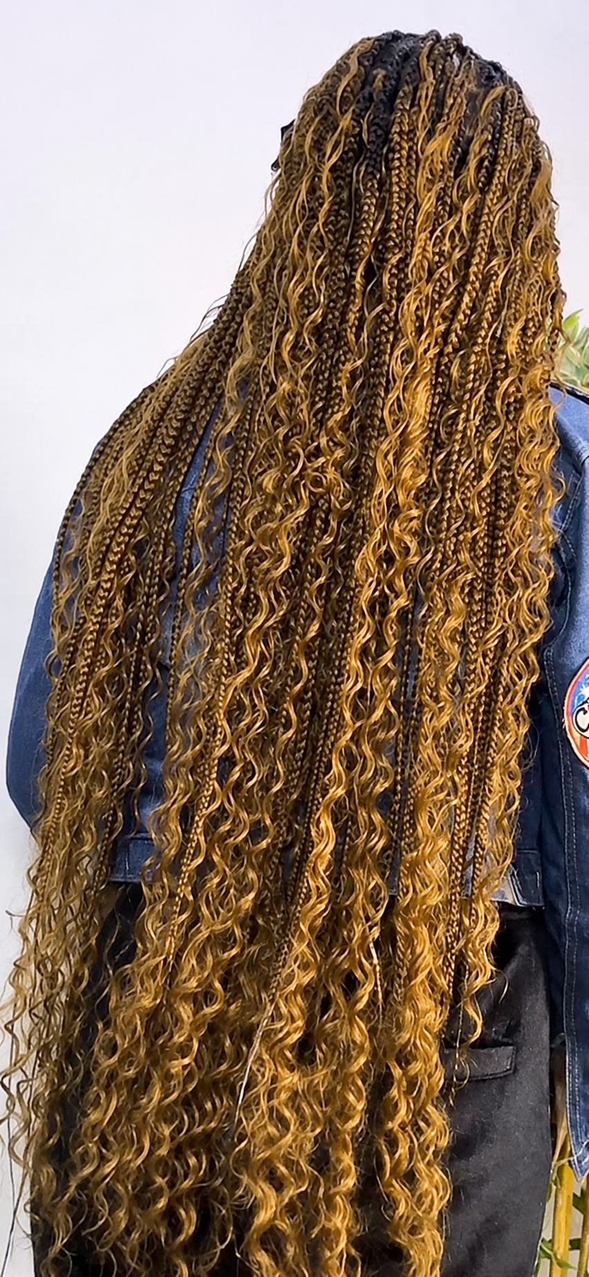 Women's Braided Glueless Wig — clean product view